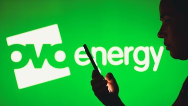 الصورة: صور سوبا / شترستوك